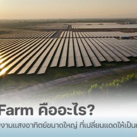 solar farm คืออะไร เปลี่ยนแสงแดดเป็นพลังงาน